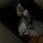 buddie_flcty's profile image