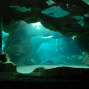 Joseph Rega - @cavingman - Twitter