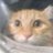 xiy0745's profile image