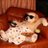 n355254311's profile image