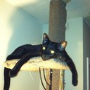 Kathi Reid - @ReidKathi - Twitter