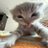 user294929499's profile image