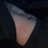 masterdomki's profile image