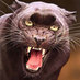 M@D M@X (@madmaxstyle) Twitter profile photo M@D M@X (@madmaxstyle) Twitter profile photo