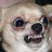 jenne558's profile image