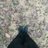 nitin_saa's profile image