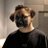 Sametarboa1's profile image