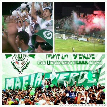 _elgorditoluis's profile picture. 