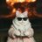 F95otb's profile image