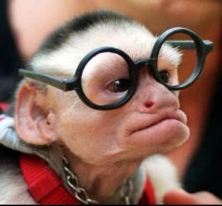 sqlgipsy's profile picture. 