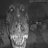 a5173042691149's profile image