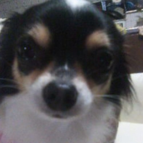 antonhayato's profile picture. 