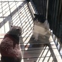 Mike Wildman - @texasmike1985 - Twitter