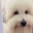 Peachae7l's profile image