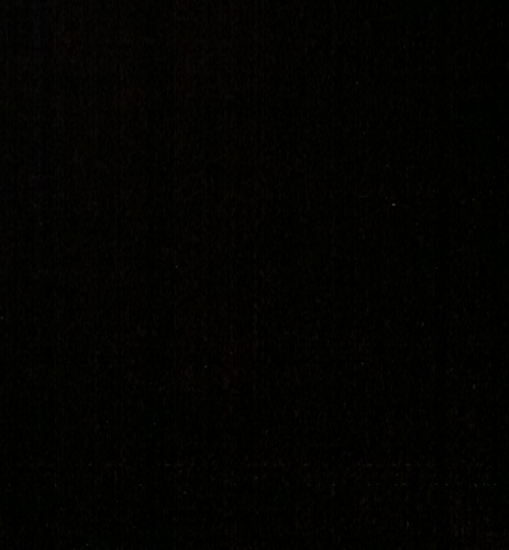 TPTPTP85's profile picture. 