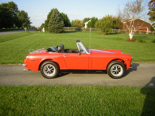 EdgarLeviMoss's profile picture. 