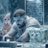 Fr33Chas3r's profile image