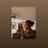 lmfaofiji's profile image