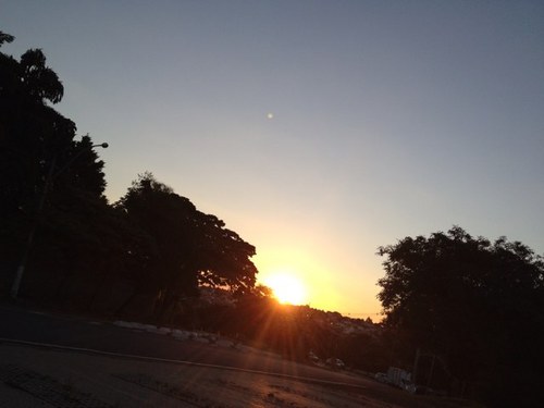 deapompei's profile picture. 