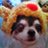 mayumin121023's profile image