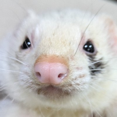 上級ウェブ解析士／デジタル超デジタル推進委員。IPAの資格は現在レベル2。モータースポーツ大好き。2輪も4輪も好き。ここ数年LINEマーケしかやってない気がする泣。マーケティング的な何かはほぼ呟きません。