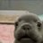 RockyDaRock1's profile image