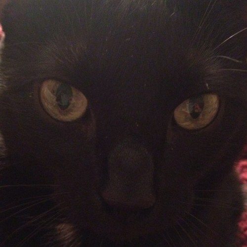 Szills's profile picture. 