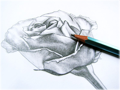 HowToDrawARose1's profile picture. How To Draw A Rose