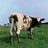 JohnthesheepNAT's profile image