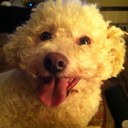 Lee - @LeeKett - Twitter