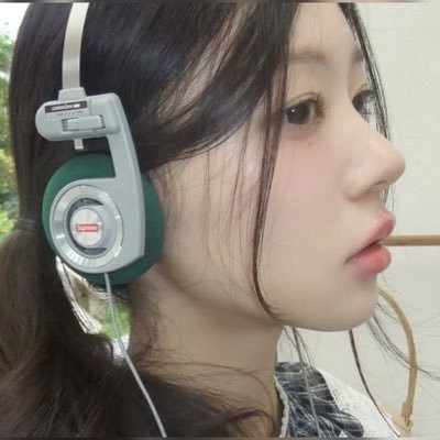 들개출몰구역