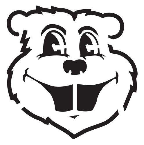Certified IT Pro, Geek @ #GoHCAEagles, Husband, Dad to 2 wonderful kids, Gopher Hockey & open wheel racing Nut