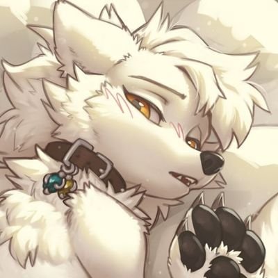 🐾snow_pup🐾