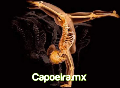 capoeiramx's profile picture. Eu sou capoeira