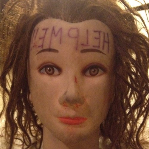 TheWwehead's profile picture. what does everybody want ? what does everybody need ? What does everybody love ? Us !!!