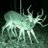 wendao2222's profile image