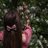 Aayushi156's profile image