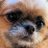 igustyle_'s profile image