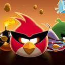 Amal Joseph - @AmalJoseph19 - Twitter