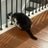 hodhod96966's profile image