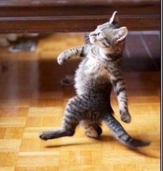 SDA_999's profile picture. 