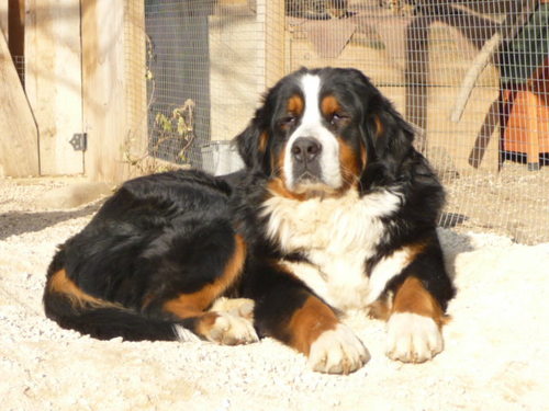 Scyrce's profile picture. Libre!