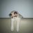 aaomwn's profile image