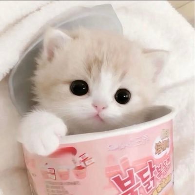 无