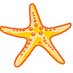 The Starfish (@TheStarfish2) Twitter profile photo