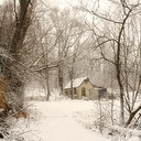 RONALD CROWE - @RONALDCROWE1 - Twitter