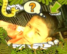aditya_jamet's profile picture. 
