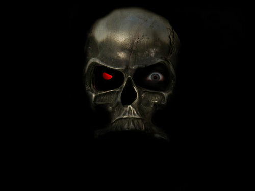 wallace305's profile picture. 