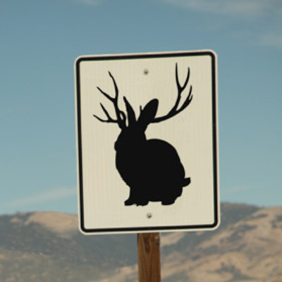 dougie07's profile picture. I like football and things that make me laugh.