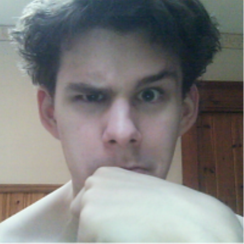 Phoenix_mb's profile picture. Imagine a jigsaw puzzle with NO edge pieces, all building outwards. ANY piece fits it, no matter the source. All contribute to a lifelong work of art. That's me